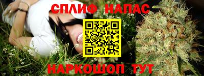 хмурый Кинель