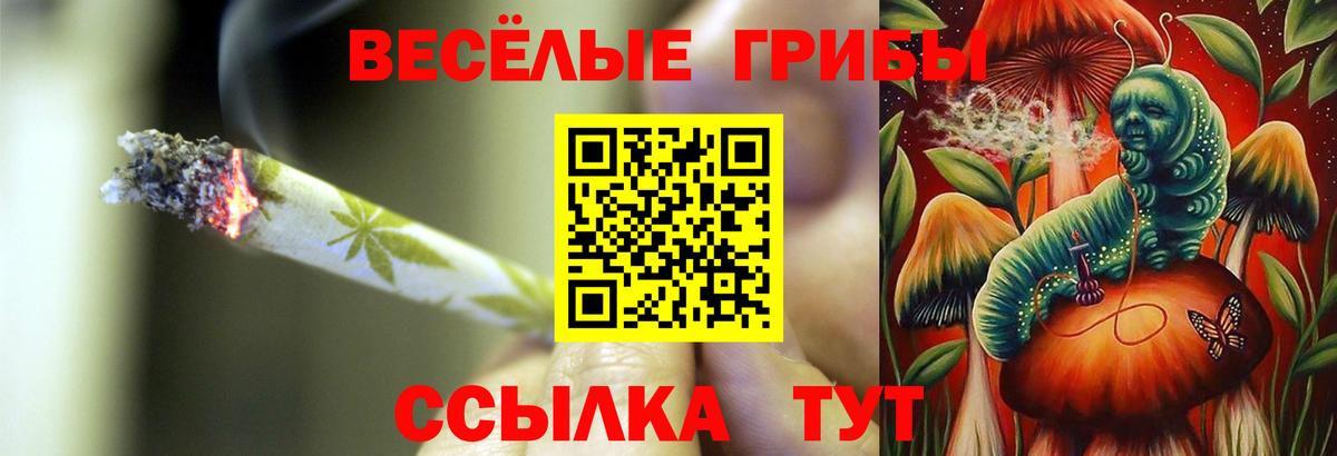 Псилоцибиновые грибы GOLDEN TEACHER  Вход с VPN  Псилоцибиновые грибы Psilocybe  Минеральные Воды 